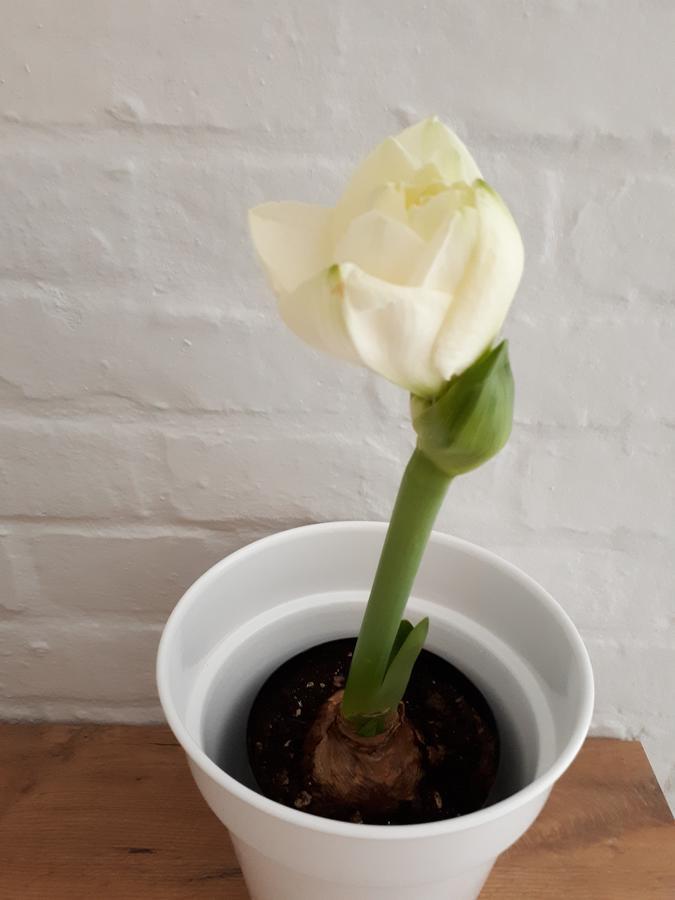 Raw Karoo Guest House 오쇼른 외부 사진